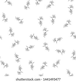 Hand drawn seamless outline simple flowers for wallpaper design. Vector hand drawn pattern. Seamless floral pattern. Vector line design. White background. Daisy flower drawing.