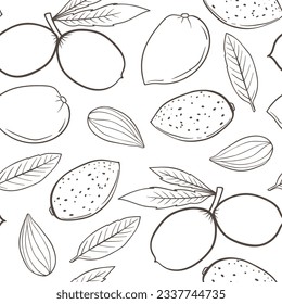 Patrón sin fisuras dibujado a mano con almendra. Fondo vectorial con nueces y hojas