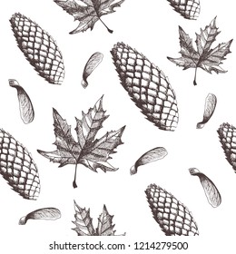 Hand drawn seamless pattern with autumn elements. Vector illustration of maple leaf, maple seed and spruce cone.