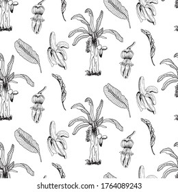 Handgezeichnet nahtloses Bananenmuster. Retro-Skizzen einzeln. Vintage-Kollektion. Lineares Grafikdesign. Schwarz-Weiß-Bild von Obst. Vektorgrafik.
