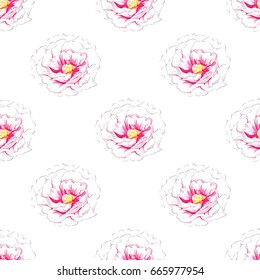 Hand drawn seamless pattern of beautiful delicate pink peony on a white background