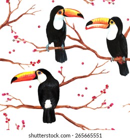Dibujo manual sin fisuras con grandes túcanos negros pájaros en las ramas del fondo blanco
