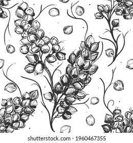 Hand drawn seamless pattern black and white of sorghum, sorgo grain, seeds, branch. Vector illustration. Elements in graphic style label, sticker, menu, package.