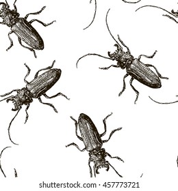 Hand drawn seamless pattern black beetle - vector illustration, isolated on white