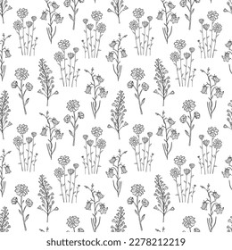 Patrón sin fisuras dibujado a mano de flores silvestres florecientes, camomila canterbury. Colección floral sobre fondo blanco. Ilustración decorativa del contorno para tarjeta de felicitación, papel pintado, papel envolvente
