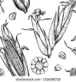 hand drawn seamless pattern of corn, seeds. sketch.