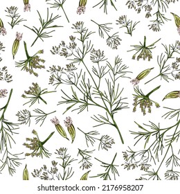 Hand drawn seamless pattern with cumin plants and flowers sketch style, vector illustration on white background. Organic nature wrapping and packaging design