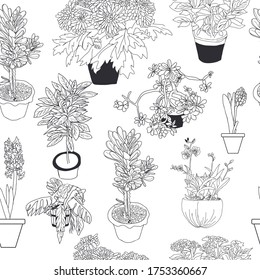 Hand drawn seamless pattern of different house plants on white background sketch style.
