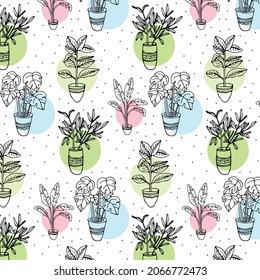 Patrón sin fisuras dibujado a mano de diferentes plantas verdes en macetas. Decoración de vegetación casera, planta acogedora, hojas botánicas. Ilustración de conjunto floral de primavera para tarjeta de diseño, invitación, papel tapizado, papel envolvente