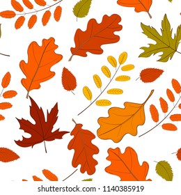 Hand drawn seamless pattern with fallen autumn leaves of various type and color on white background. Autumnal backdrop with colorful foliage. Vector illustration for textile print, wrapping paper.