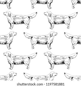 Hand Drawn seamless pattern and Golden Retrievers  Vector illustration in retro style