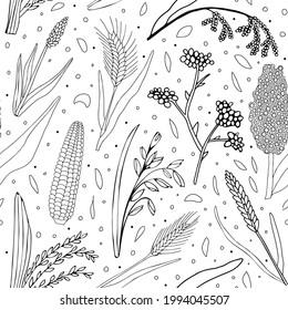 Hand drawn seamless pattern. Grains plants and cereal rye barley and wheat ear spikes. Vector sketch illustration for food package design template, engraving food. 