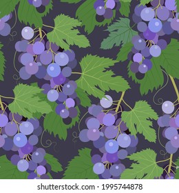 Patrón sin costuras dibujado a mano con uvas y plantas sobre un fondo azul oscuro. Ilustración vectorial