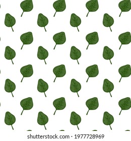 Hand drawn seamless pattern with green eucalyptus leaves isolated on white background. Vector illustration in sketch style