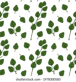 Hand drawn seamless pattern with green eucalyptus branch with leaves isolated on white background. Vector illustration in sketch style