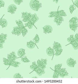 Hand drawn seamless pattern with herb parsley. Leaves and branches of parsley on a green background. Herbs for packaging design, cards, postcards and book illustrations