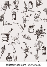 Hand drawn seamless pattern with  herbs. Vector