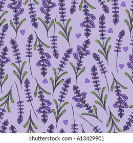 Hand drawn seamless pattern with lavender. Vector illustration