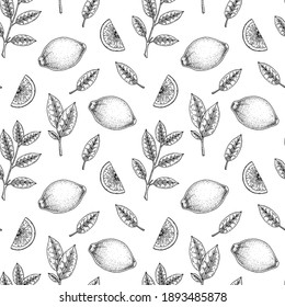 Hand drawn seamless pattern with lemon fruit and leaves. Vector illustration in sketch style