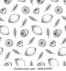 Hand drawn seamless pattern with lemon fruit and leaves. Vector illustration in sketch style