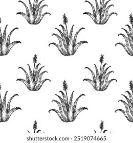 Hand drawn seamless pattern with medicinal plant Aloe Vera. Vector repeating background of stem with flower and leaves of succulent aloe for design, card, print, paper. Medicine, food, cosmetic