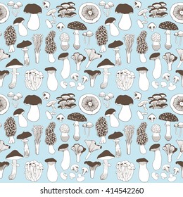 Hand drawn seamless pattern of mushroom and toadstools. Vector illustration.