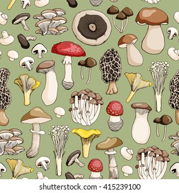 Hand drawn seamless pattern of mushroom and toadstools. Vector illustration.