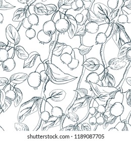 Hand drawn seamless pattern with paradise aplple sprigs in liner on a white background. Fruit graphic vector background. Design for a fabric, textile, wrapping paper