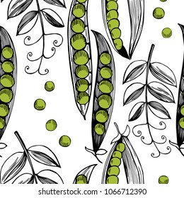 Hand drawn seamless pattern with pea. 