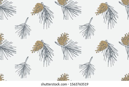 Hand drawn seamless pattern with pine cones. Vector illustration
