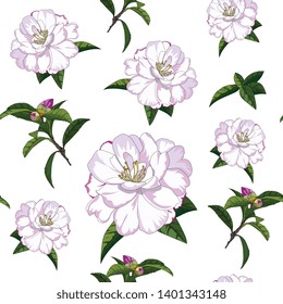 hand drawn seamless pattern of pink rose camellia flower on white background