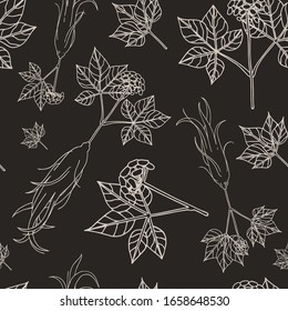 Hand Drawn Seamless Pattern Of Red Or Panax Ginseng Root For Print, Textile, Fabric, Packaging Design, Wrapping Paper Background. Alternative Medicine, Beauty, Cosmetic And Herbal Therapy Ingredient.