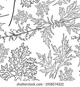 Hand drawn seamless pattern with sagebrush plant