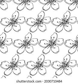 Hand drawn seamless pattern with sakura. Black and white line art isolated. Classic endless ornament with flowers. Japanese symbol. Vector illustration.