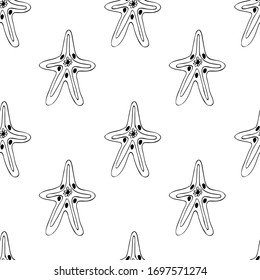 Hand drawn seamless pattern sea star isolated on white background. Vector pattern