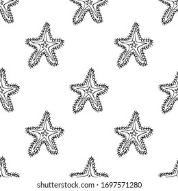 Hand drawn seamless pattern sea star isolated on white background. Vector pattern