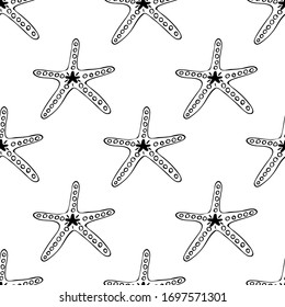 Hand drawn seamless pattern sea star isolated on white background. Vector pattern