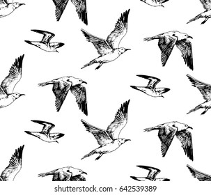 Hand Drawn Seamless Pattern With Seagull Flying And Sitting Sea Birds. Beach Vintage Theme