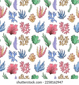 Hand drawn seamless pattern with seaweed colorful underwater ornament on white background
