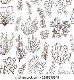 Hand drawn seamless pattern with seaweed outline underwater ornament on white background