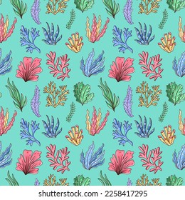 Hand drawn seamless pattern with seaweed colorful underwater ornament on blue background