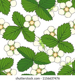 Hand drawn seamless pattern with strawberry flowers and leaves isolated on white background. Design element for fabrics, textile. wallpaper, scrapbooking. Vector illustration.