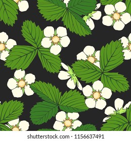 Hand drawn seamless pattern with strawberry flowers and leaves. Design element for tea, natural cosmetics, juice, health care products, fabrics, textile. Vector illustration.