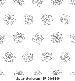 Hand drawn seamless pattern succulent in style outline doodle. Graphics sketch set home desert flower. Vector illustration, isolated black elements on a white background.