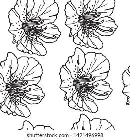 Hand drawn seamless pattern with tropical flowers. Floral background. Outline drawing. Vector botanical illustration. Hand drawn nature painting. Freehand sketching illustration of flower.