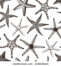 Hand drawn seamless pattern with various Starfishes, vector illustration on white background.