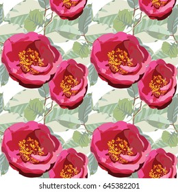 Hand drawn seamless pattern vector of camellia   flowers ana leaves on the transparent background