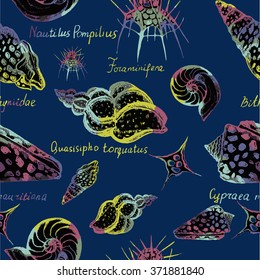 Hand drawn seamless pattern of vintage seashells. Can use them for your design, in prints, card making, postcards or even for printing on fabrics.