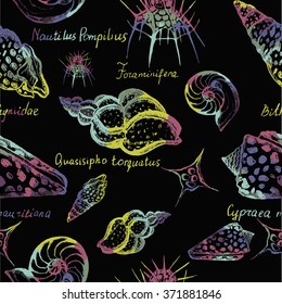 Hand drawn seamless pattern of vintage seashells. Can use them for your design, in prints, card making, postcards or even for printing on fabrics.