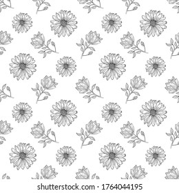 Hand drawn seamless pattern with wildflowers. Black and white doodles with chamomile flowers. Monochrome floral elements. Vector illustration.